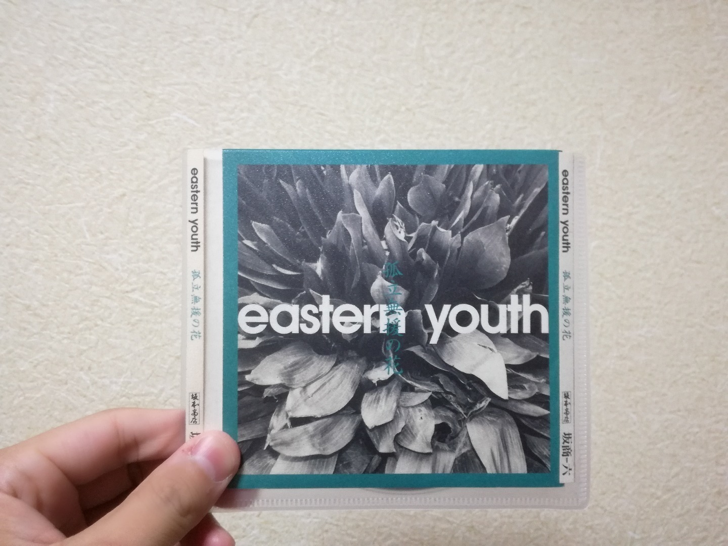 ⑦孤立無援の花 eastern youth イースタンユース アナログレコード - 邦楽